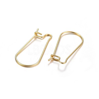 304 Stainless Steel Hoop Earrings STAS-P210-27G-1