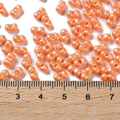 Glass Seed Beads SEED-L011-04A-04-1