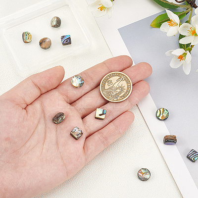 12pcs 3 styles Natural Abalone Shell/Paua Shell Beads Strands SHEL-WR0001-03-1