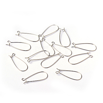 Brass Hoop Earrings Findings Kidney Ear Wires EC221-1