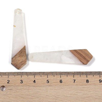 Resin & Wood Pendants WOOD-F015-05C-1