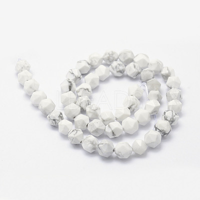 Natural Howlite Beads Strands G-F523-28-10mm-1