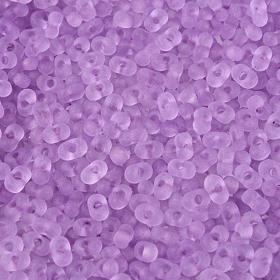 FGB Frosted Transparent Glass Seed Beads SEED-N013-06A-07-1