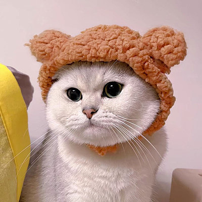 2Pcs 2 Styles Cute Cotton Warm Rabbit & Bear Hat AJEW-GL0002-57-1