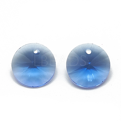 K9 Glass Rhinestone Charms RGLA-T072-10mm-T206-1