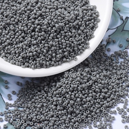 MIYUKI Round Rocailles Beads X-SEED-G007-RR0499-1