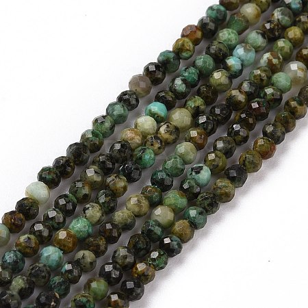 Natural African Turquoise(Jasper) Beads Strands G-P472-02-1
