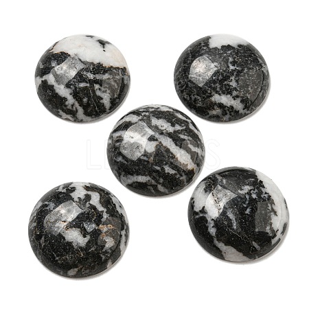 Natural Black Zebra Jasper Cabochons G-C115-02B-19-1