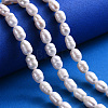 Natural Cultured Freshwater Pearl Beads Strands X-PEAR-I003-05-5
