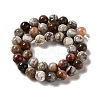 Natural Mexican Lace Agate Beads Strands G-E578-02C-2