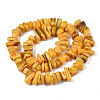 Natural Trochid Shell/Trochus Shell Beads Strands SHEL-S258-080-B02-2