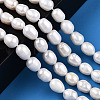Natural Cultured Freshwater Pearl Beads Strands X-PEAR-L001-C-03-1