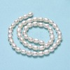 Natural Cultured Freshwater Pearl Beads Strands PEAR-J006-17D-3