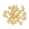 Electroplated Alloy Charms X-PALLOY-G267-09G-1