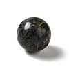 Natural Kambaba Jasper Beads G-A206-02-19-2