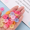Transparent Frosted Acrylic Bead Caps X-MACR-S371-04A-5