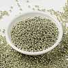 MIYUKI Round Rocailles Beads X-SEED-G008-RR4201-2