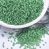 MIYUKI Round Rocailles Beads X-SEED-G007-RR0646-1