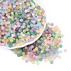 FGB Frosted Transparent Glass Seed Beads SEED-N013-02A-1