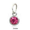 Platinum Plated Alloy Glass Rhinestone Charms PALLOY-TAC0016-B10-P-1