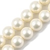 Polished Shell Pearl Round Beads Strands BSHE-XCP0001-17-1