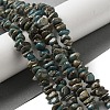 Natural Serpentine Beads Strands G-F771-C01-02-2