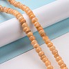 Natural Cultured Freshwater Shell Beads Strands SHEL-F002-01E-2