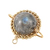 Natural Labradorite Copper Wire Wrapped Pendants PALLOY-TA00426-04-2