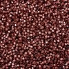MIYUKI Delica Beads X-SEED-J020-DB2179-3