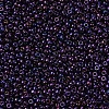 MIYUKI Round Rocailles Beads SEED-JP0008-RR0469-3