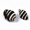 Natural Spiral Shell Beads SSHEL-T014-06-2