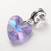 Large Hole Alloy European Dangle Charms PALLOY-JF00041-06-1