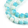 Transparent Baking Paint Glass Beads Strands DGLA-N009-10mm-05-4