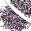 FGB 11/0 Grade A Glass Seed Beads SEED-S030-1215-1