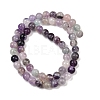Natural Fluorite Beads Strands G-P530-B04-02A-3