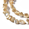 Natural Trochid Shell/Trochus Shell Beads Strands SSHEL-N034-78-B01-3