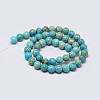 Natural Imperial Jasper Beads Strands X-G-I122-6mm-10-3