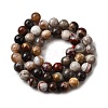 Natural Mexico Crazy Agate Beads Strands G-L615-A01-02-9