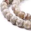 Natural Maifanite/Maifan Stone Beads Strands X-G-I187-6mm-01-7