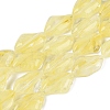 Handmade Lampwork Beads Strands LA-N046-02N-1