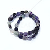 Natural Fluorite Beads Strands G-M420-D05-01-2