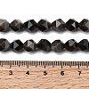 Natural Silver Obsidian Beads Strands G-Z119-A11-02-6