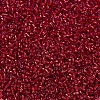 MIYUKI Delica Beads X-SEED-J020-DB0602-3