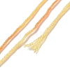 10 Skeins 6-Ply Polyester Embroidery Floss OCOR-K006-A29-3