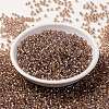 MIYUKI Round Rocailles Beads X-SEED-G008-RR3521-2