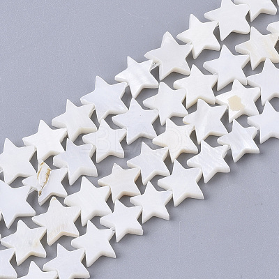 Freshwater Shell Beads Strands SHEL-T014-009G-1
