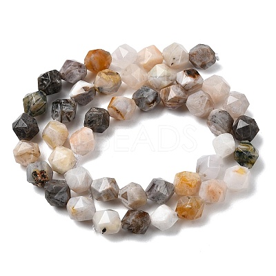 Natural Bamboo Leaf Agate Beads Strands G-Z119-A27-02-1