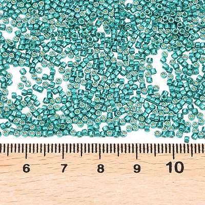 MIYUKI Delica Beads X-SEED-J020-DB2506-1