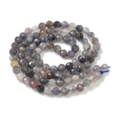 Natural Iolite Beads Strands G-G188-B04-06A-1