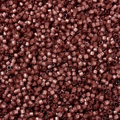 MIYUKI Delica Beads X-SEED-J020-DB2179-1